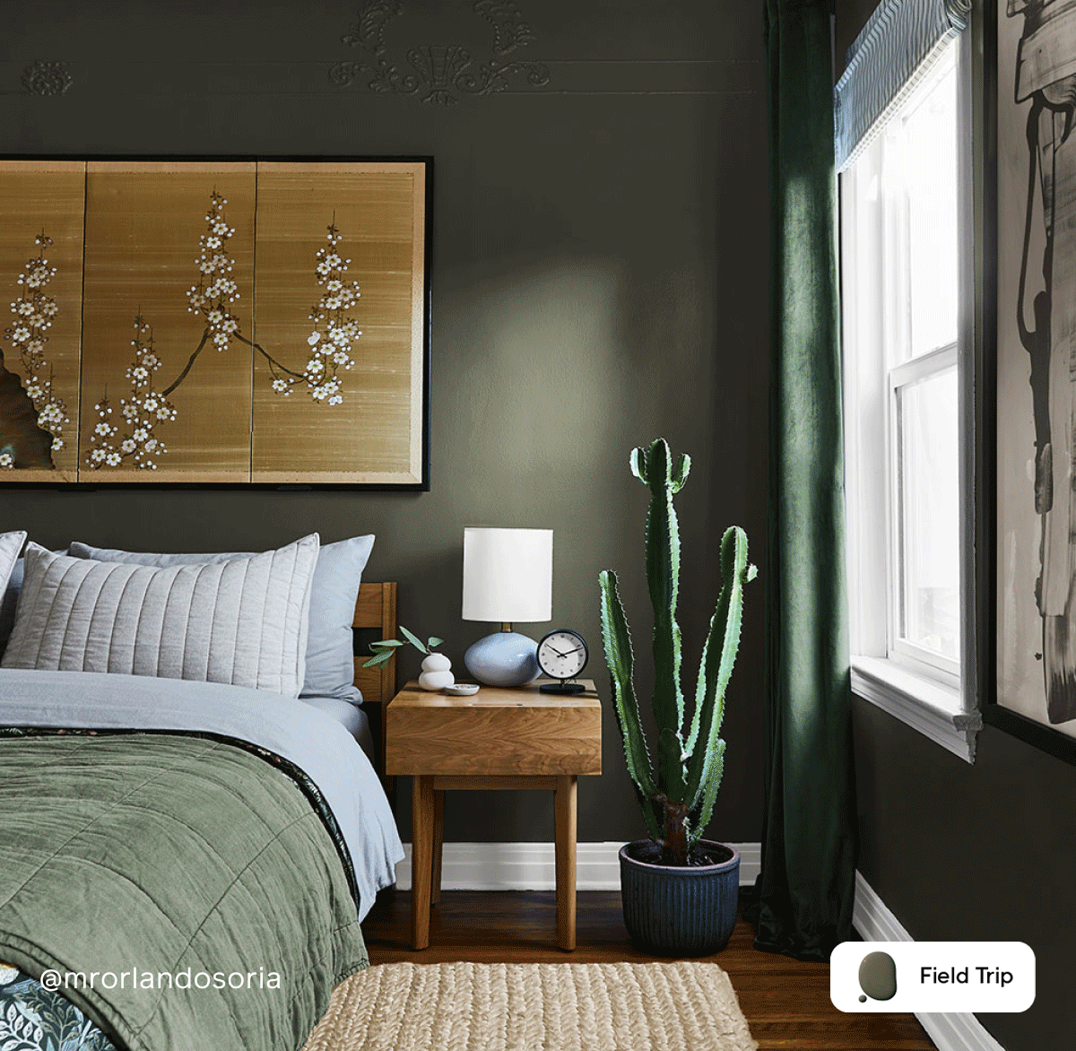 Gif of Clare painted spaces featuring Rain Check, Timeless and Field Trip