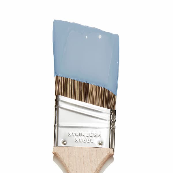 Cloud Watching paint color blob