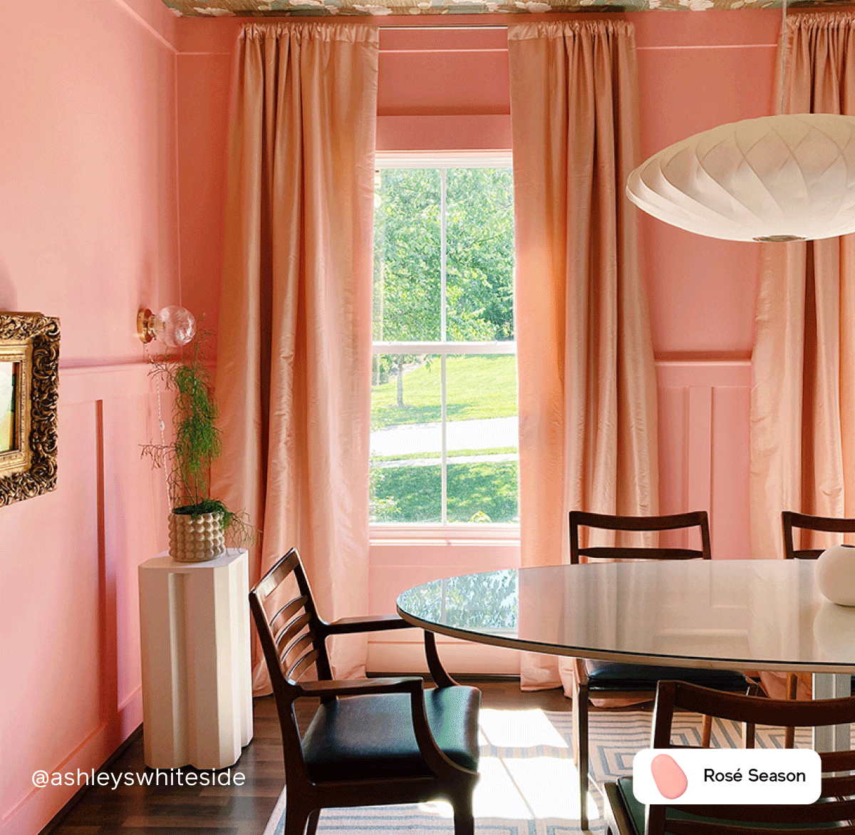 Gif of pink Clare painted spaces featuring Pink Sky, Rosé Season, Wing It and Pop