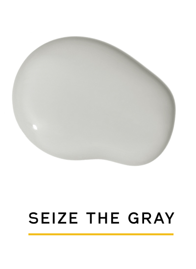 SEIZE THE GRAY SEIZE THE GRAY