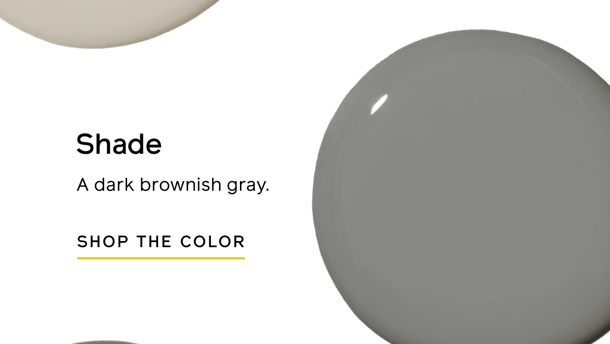 Shade: A dark brownish gray. SHOP THE COLOR