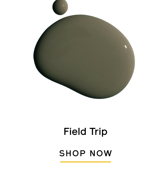 Field Trip SHOP NOW