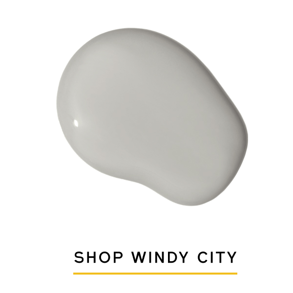 Shop Windy City