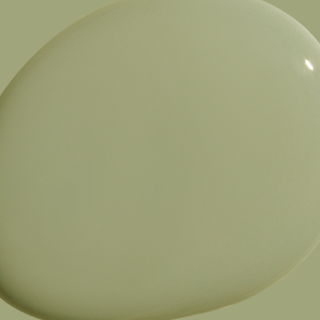 Extra Virgin paint color Extra Virgin paint color