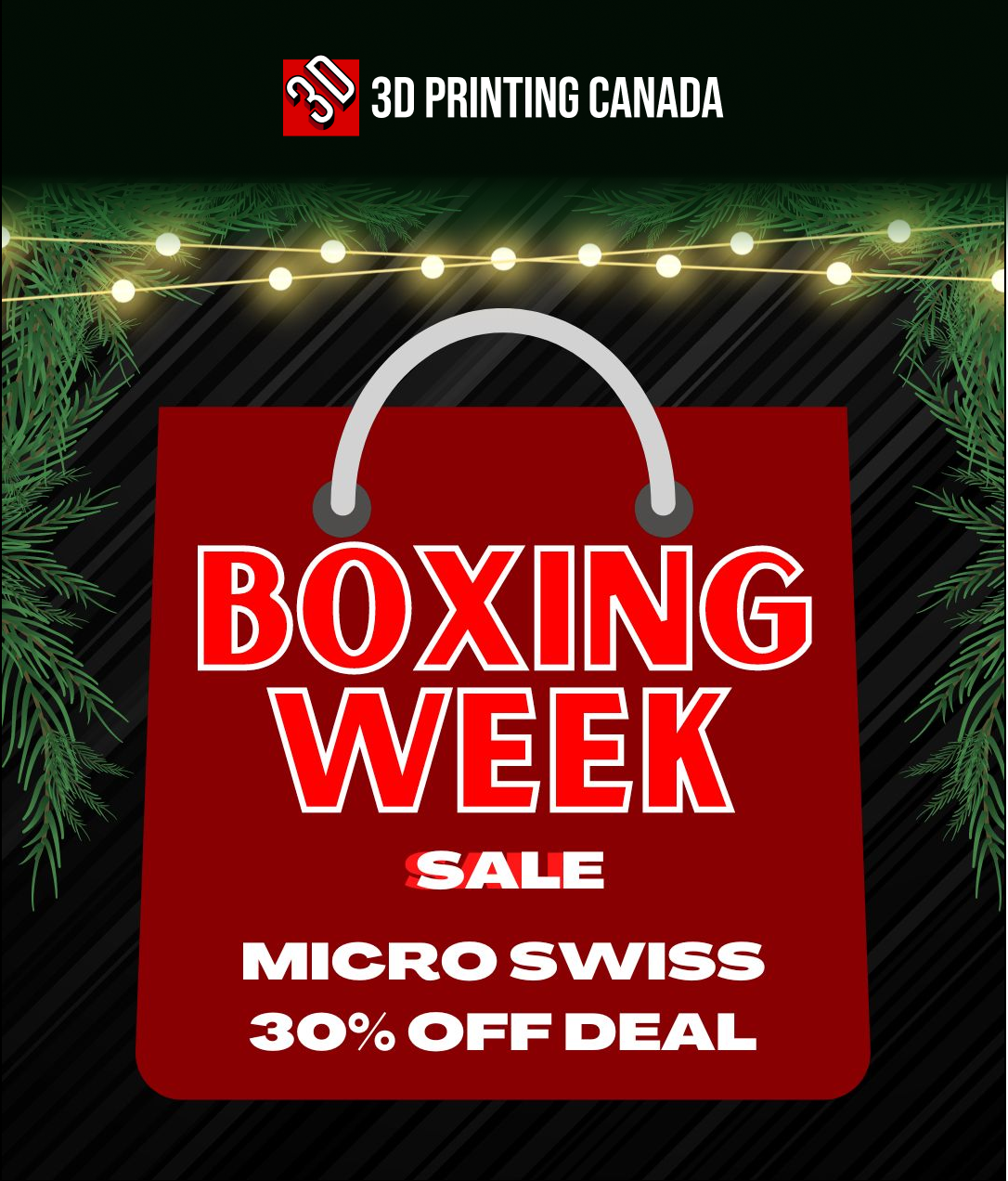 30 off on Micro Swiss and save on other 3D printing products 3D
