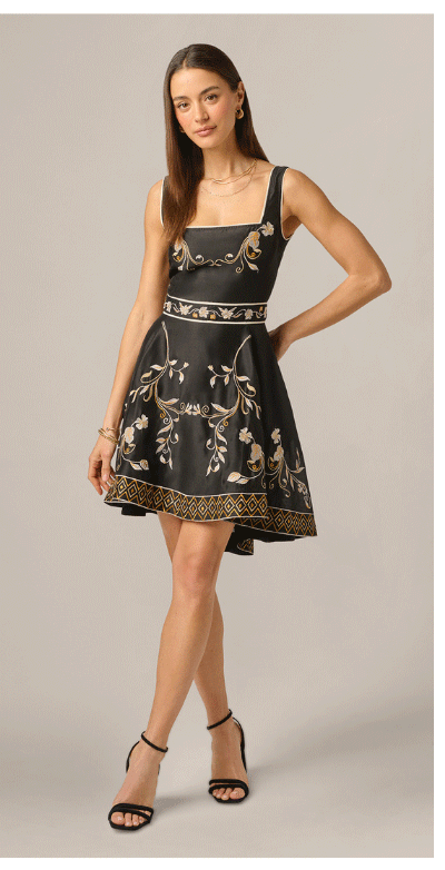 Floral Embroidered Cotton Short Dress In Black Multi