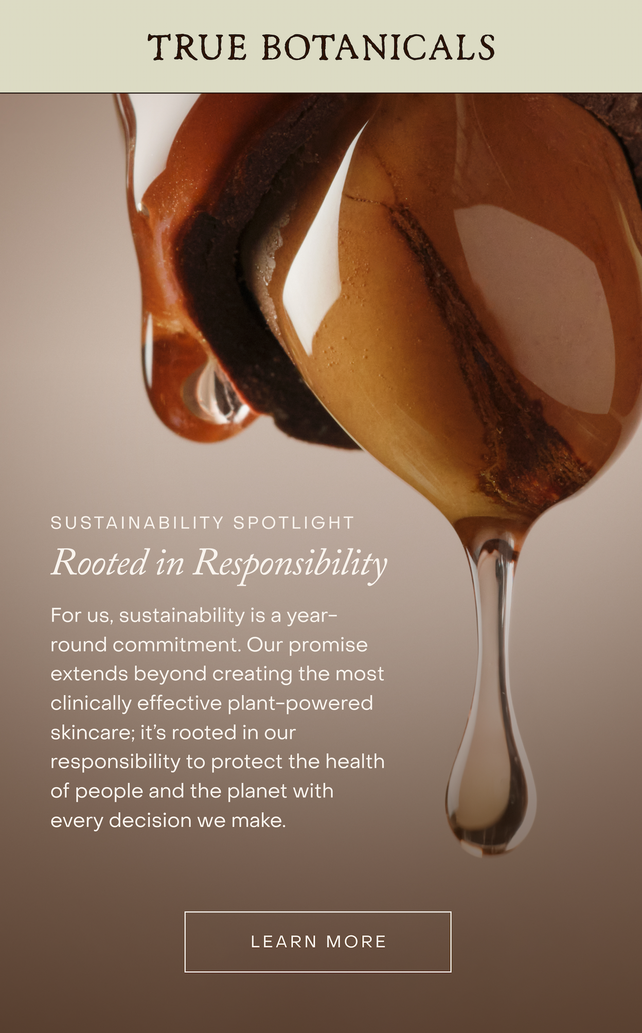 Sustainability Spotlight