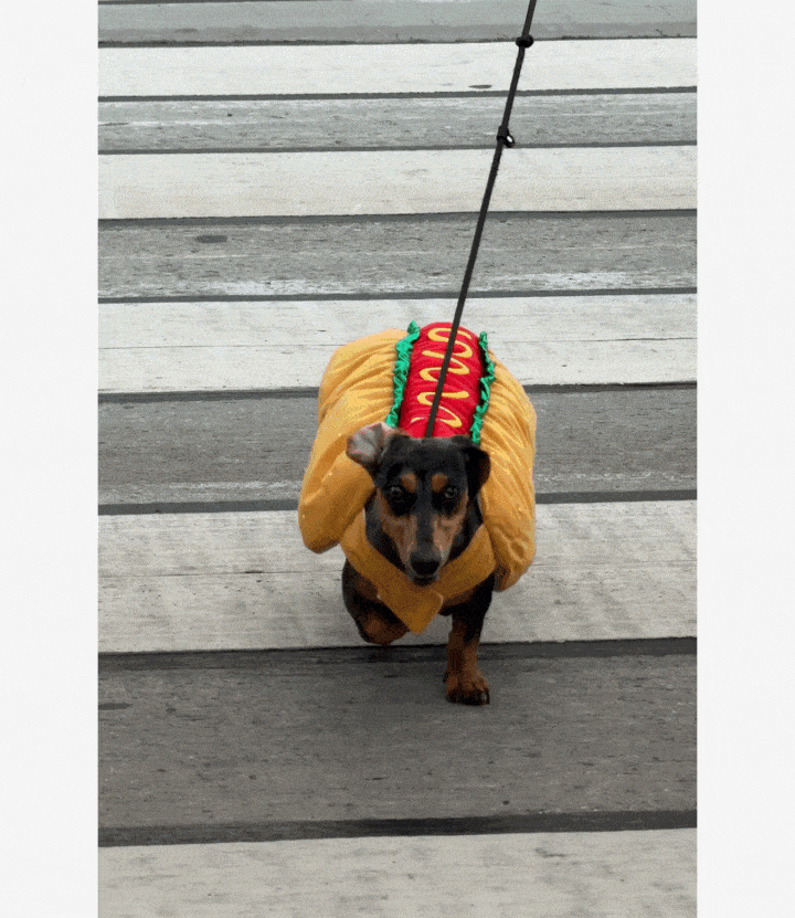 True Botanicals Mystery Gift With Purchase Orders $150+