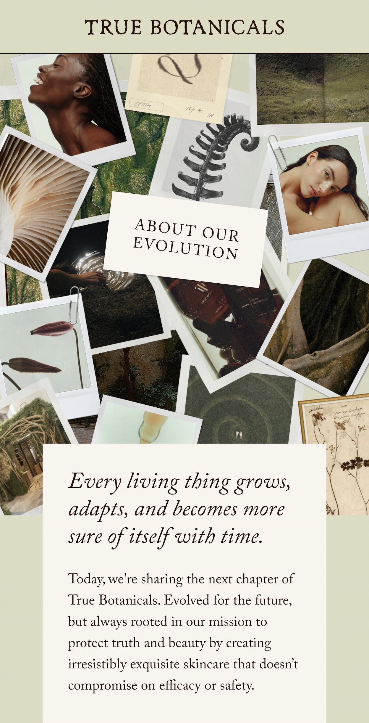 About our evolution
