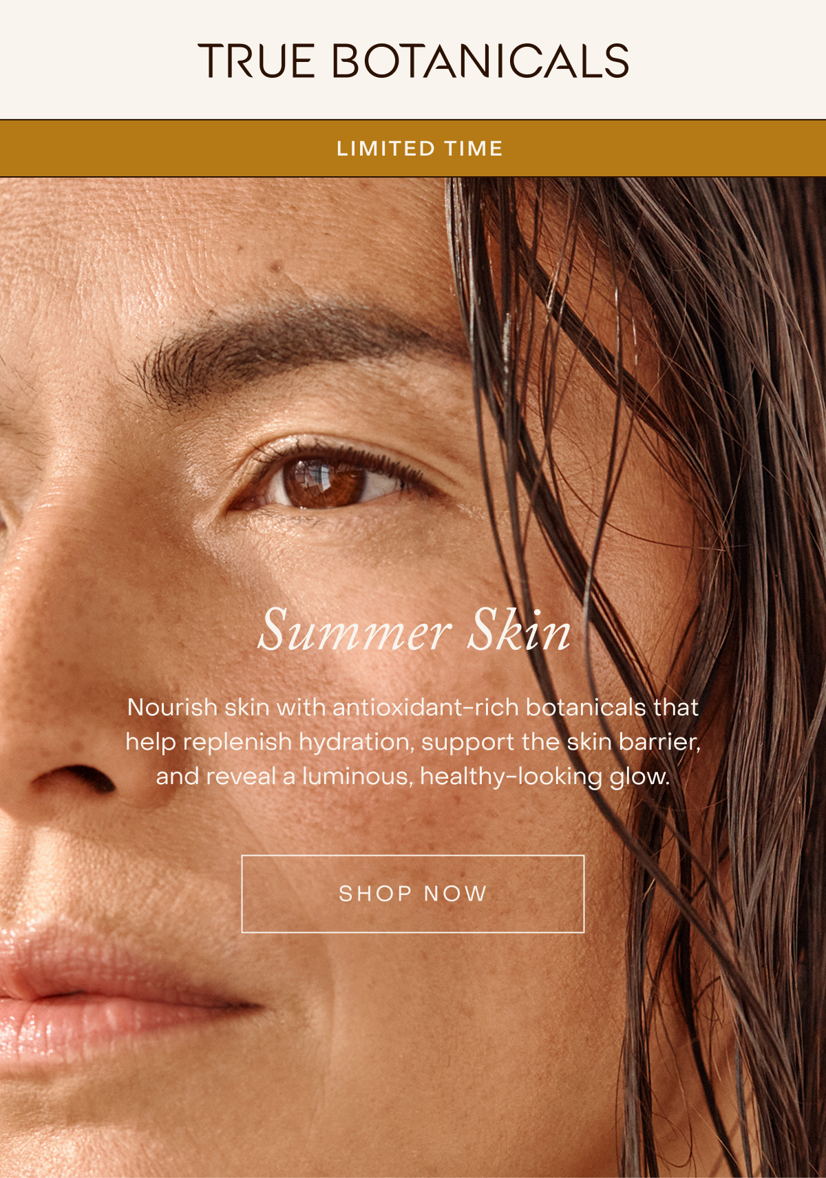 High Summer Savings