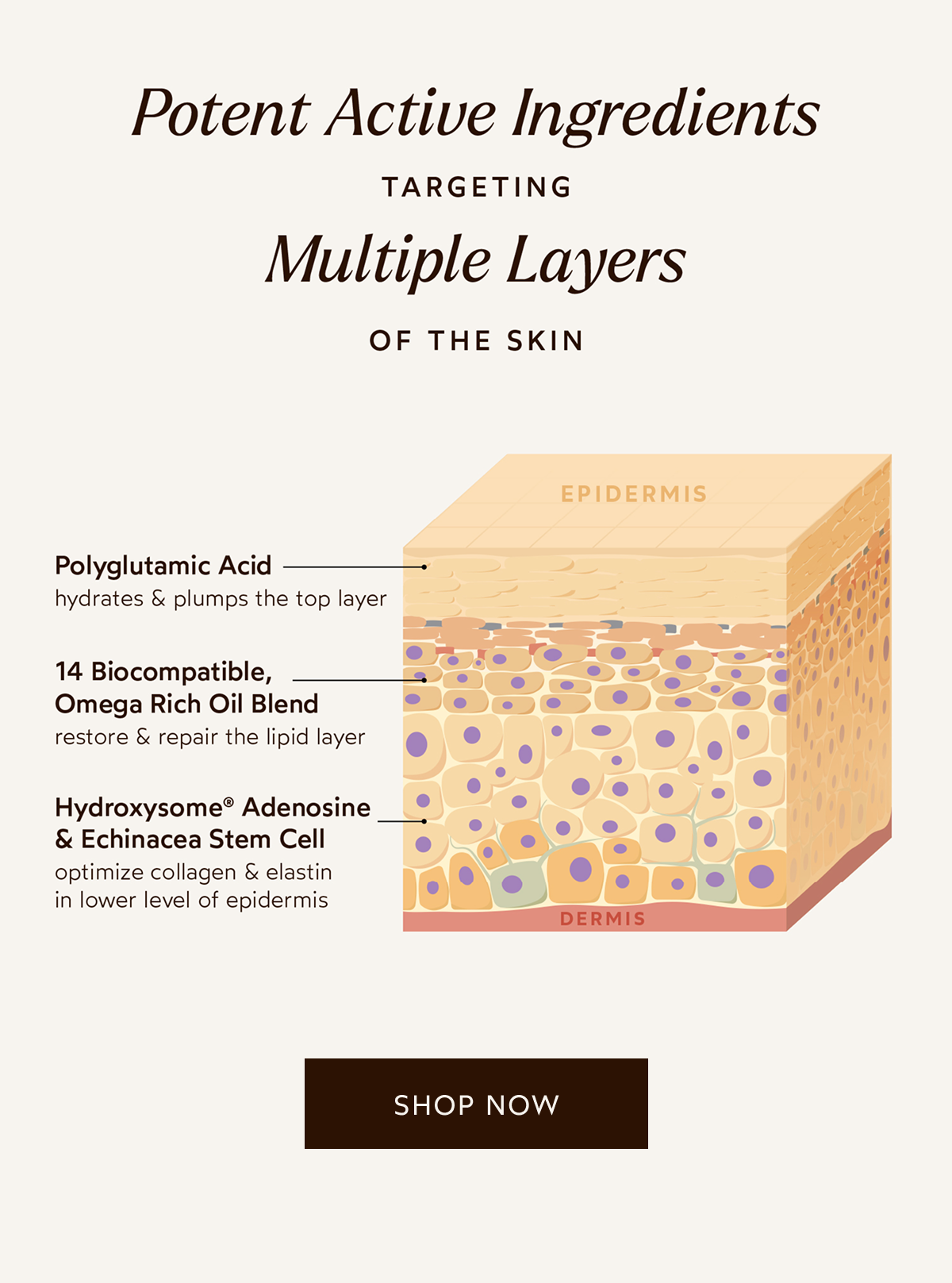 New Pure Radiance Supreme Eye Cream