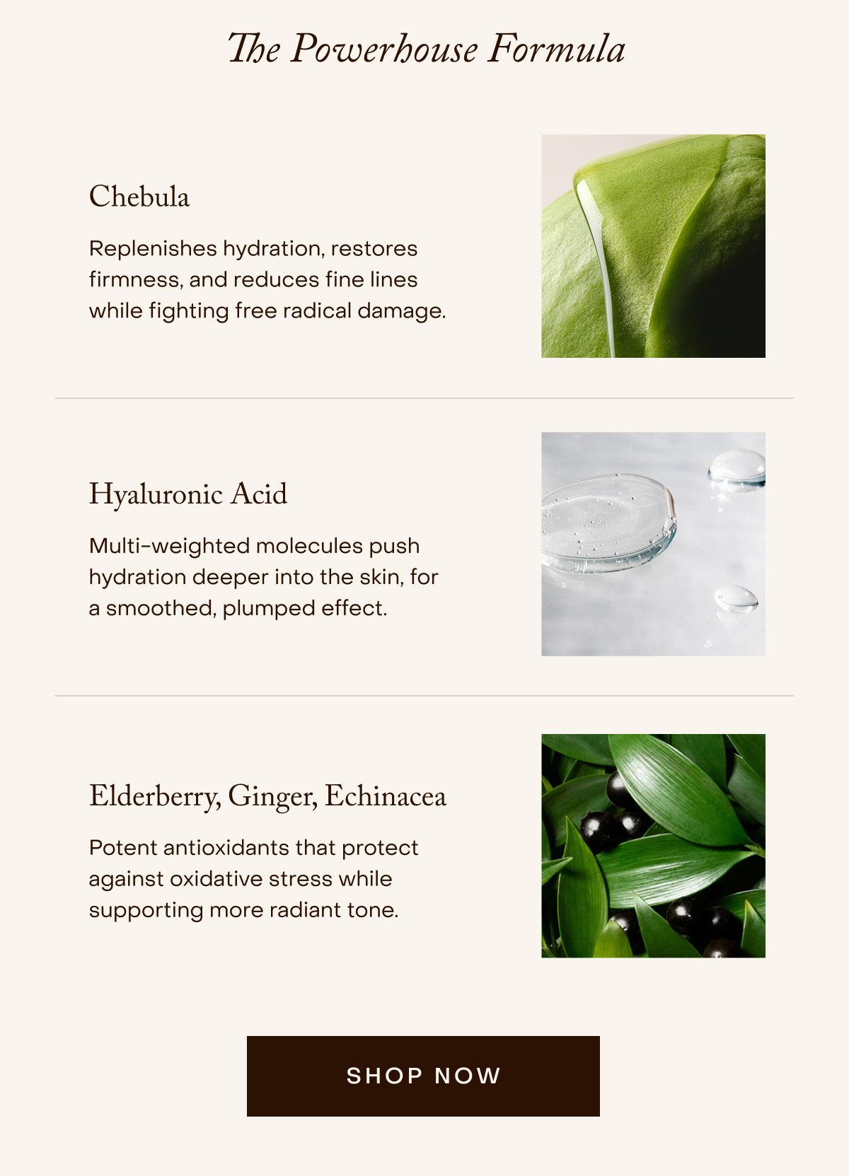 Chebula Active Serum