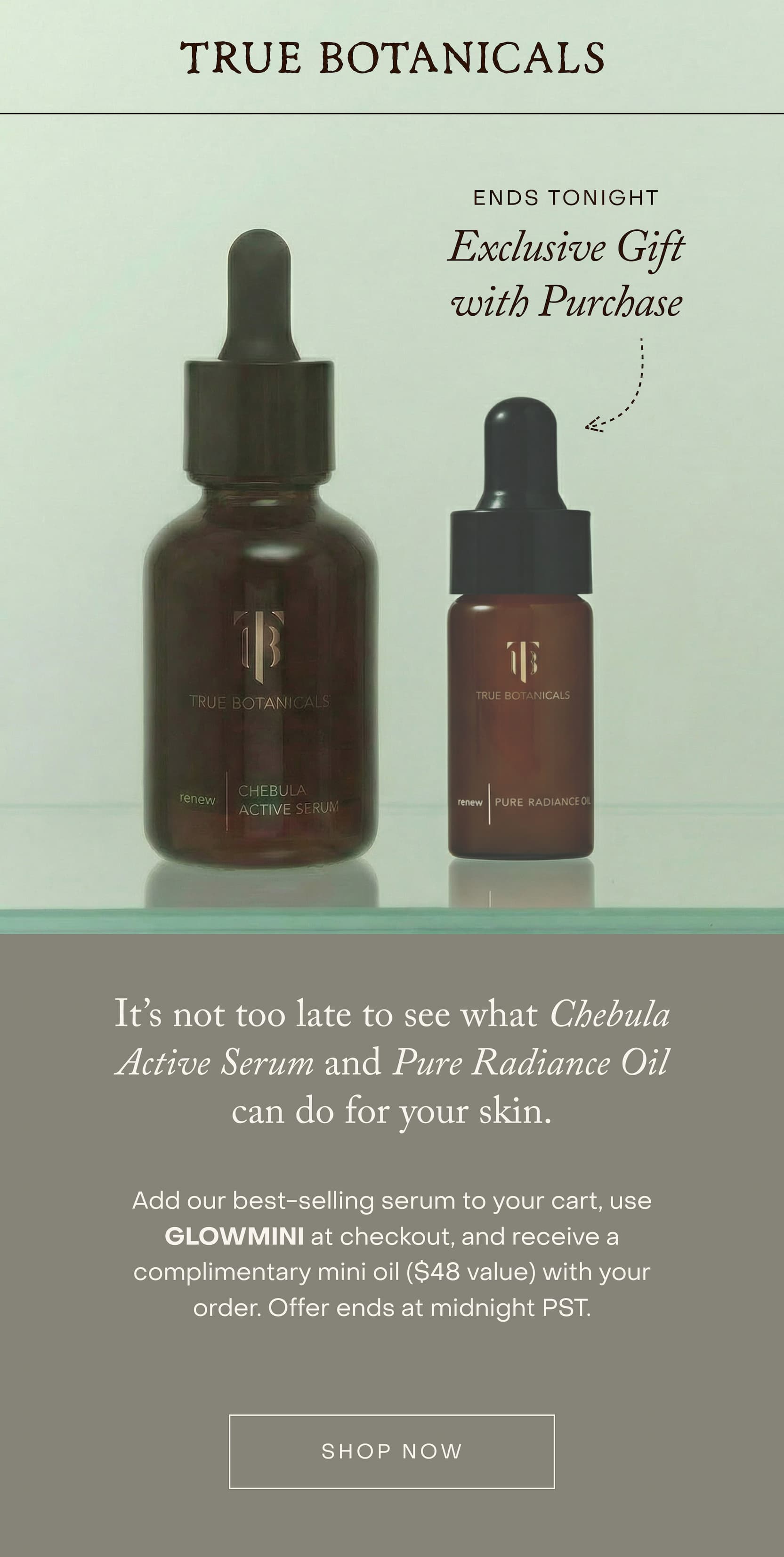 Exclusive Chebula Offer