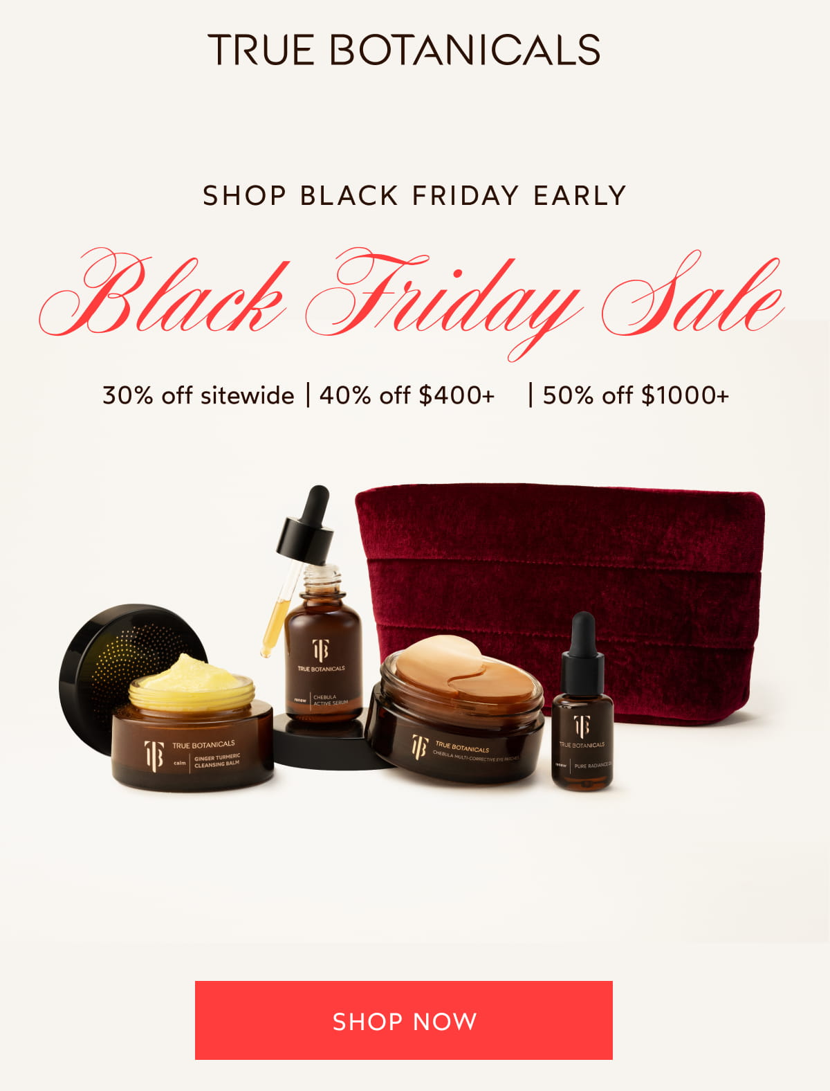 Black Friday Sale