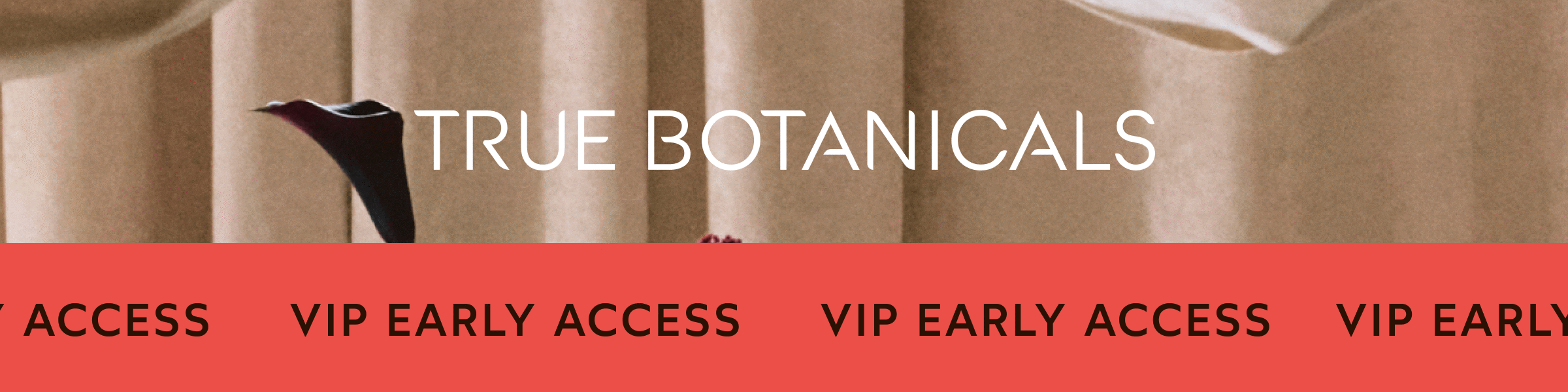 Early Access Sign Up