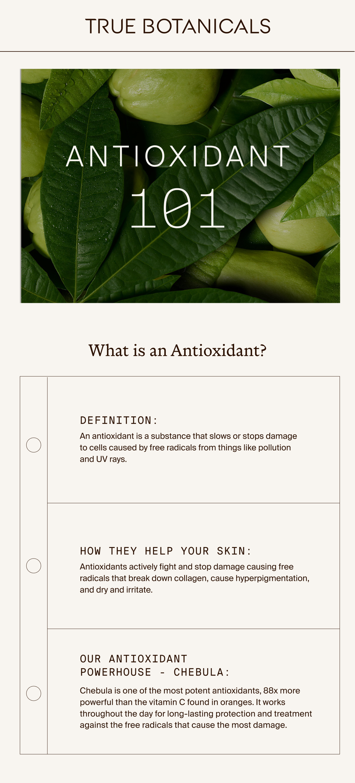Antioxidant 101
