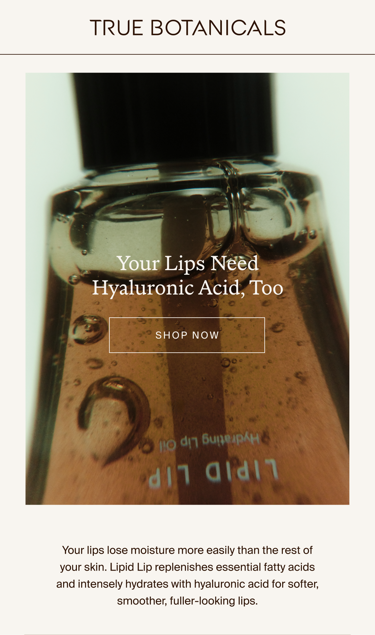 Lipid Lip - your lips needs hyaluronic acid too