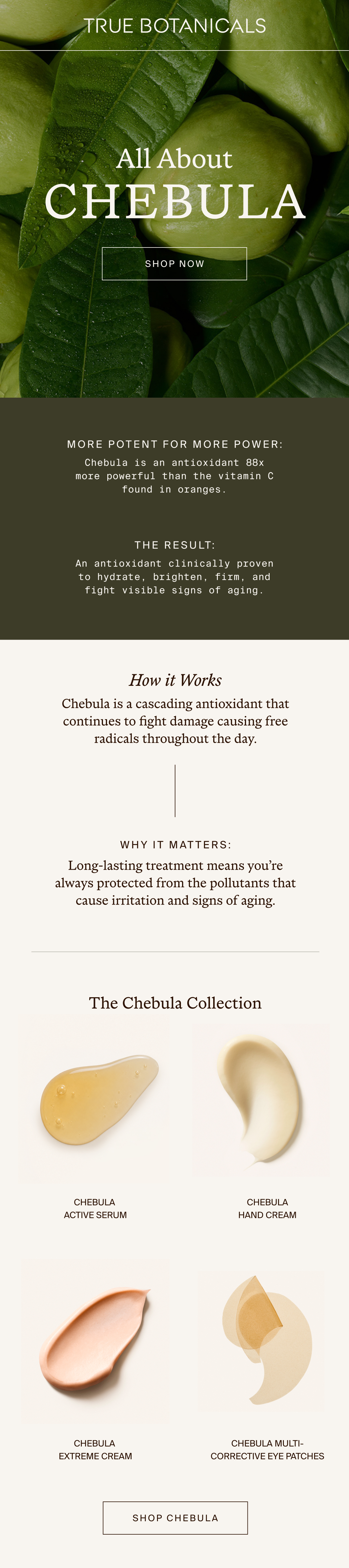 Benefits of Chebula