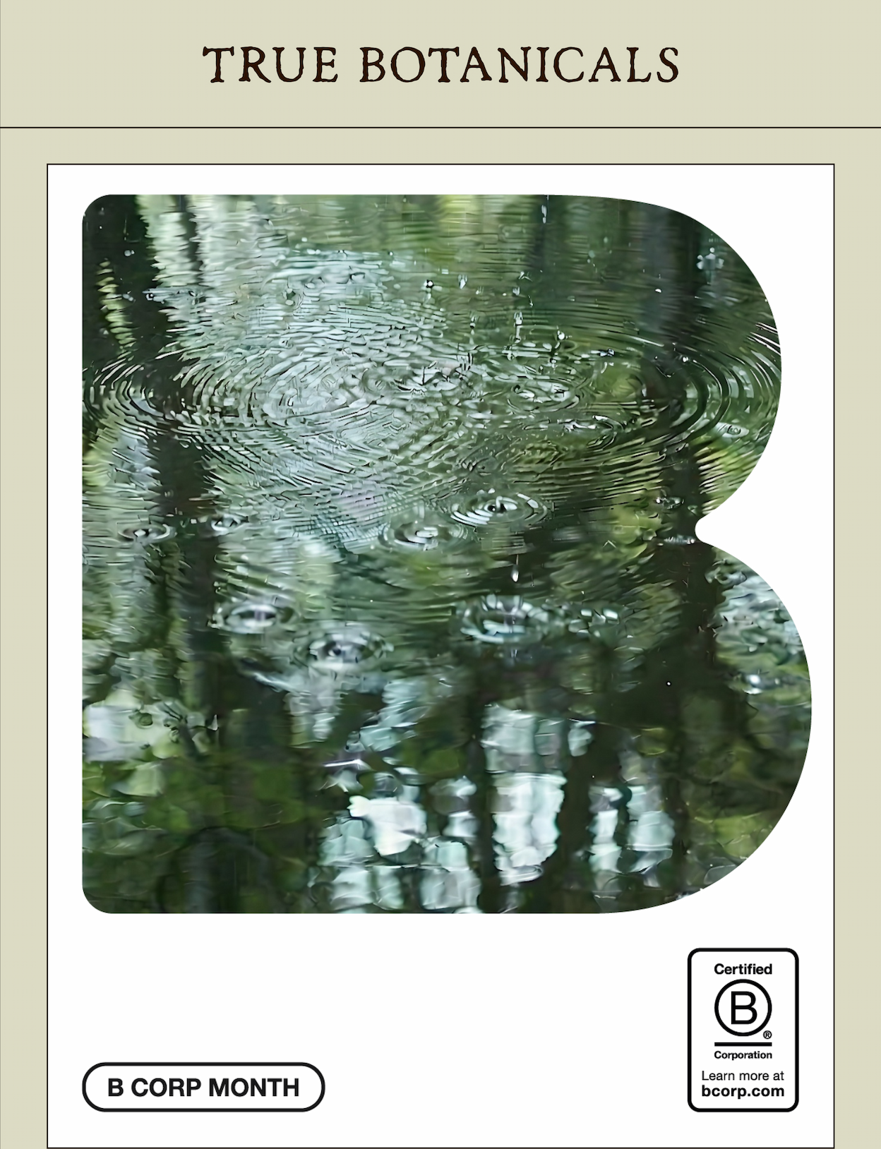 We're proud to be B Corp Certified