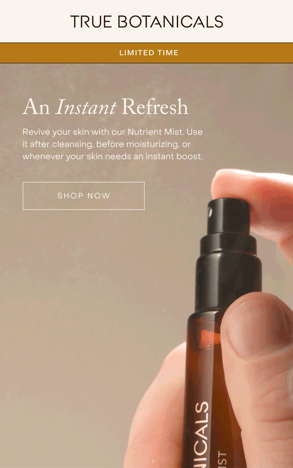 An Instant Refresh