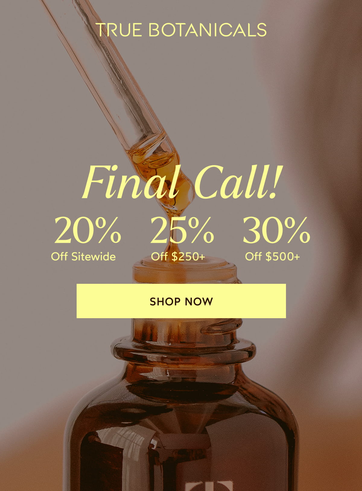 Final Call! [Click here to Shop Now]