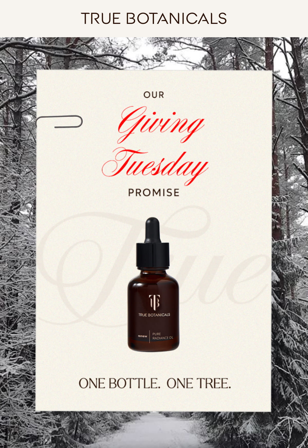 Our Giving Tuesday Promise