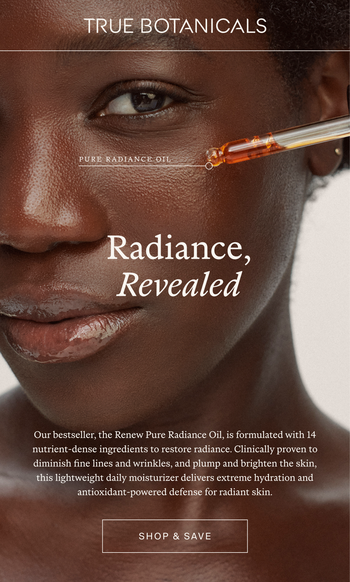 Renew Oil