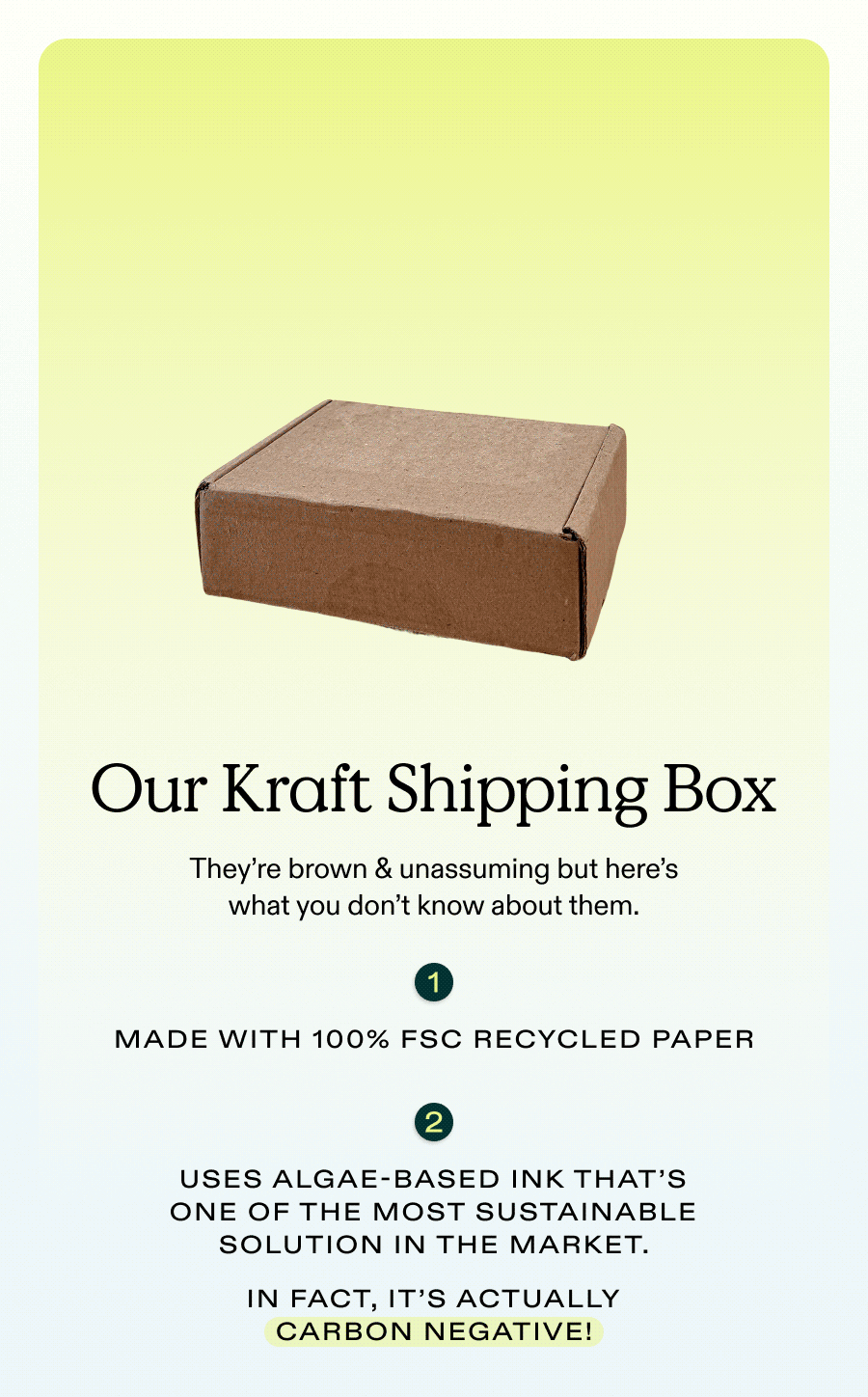 Our Kraft Shipping Box