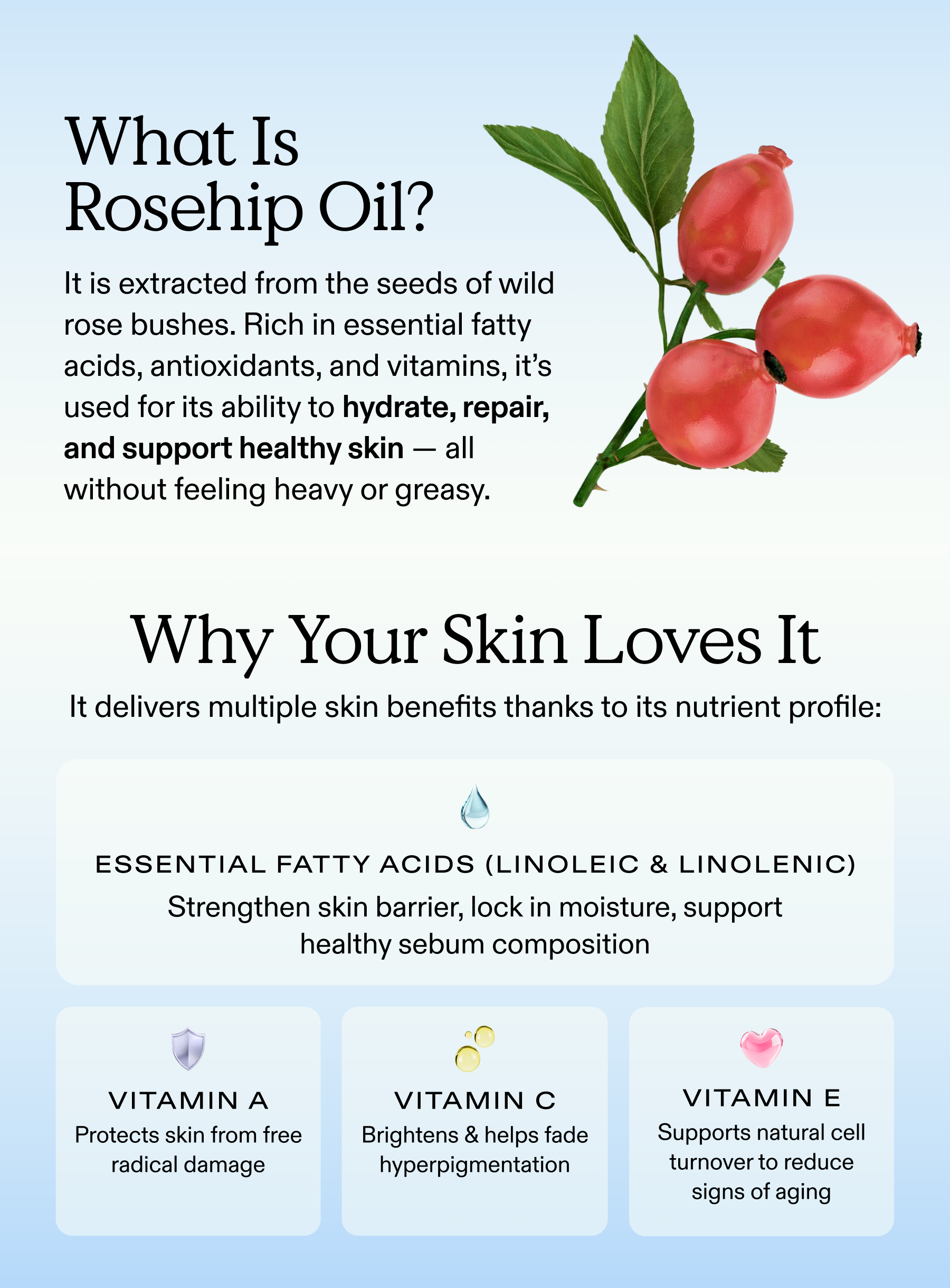 What is rosehip oil?