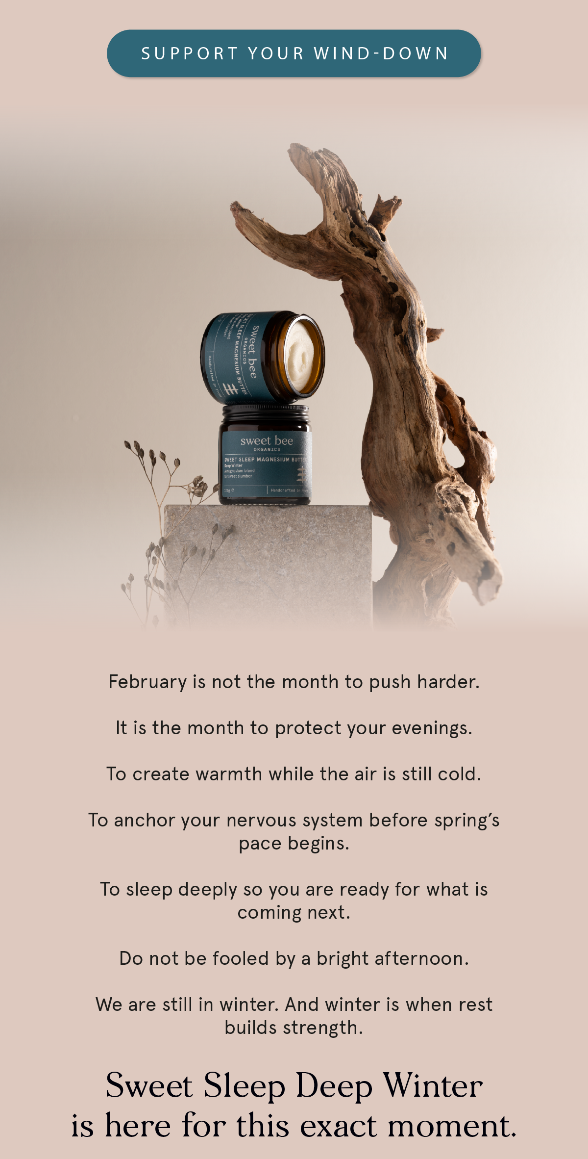 Protect Your Evenings