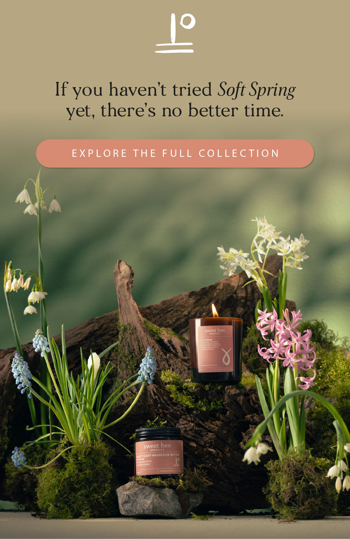 Three reviews. Three products. One season.
