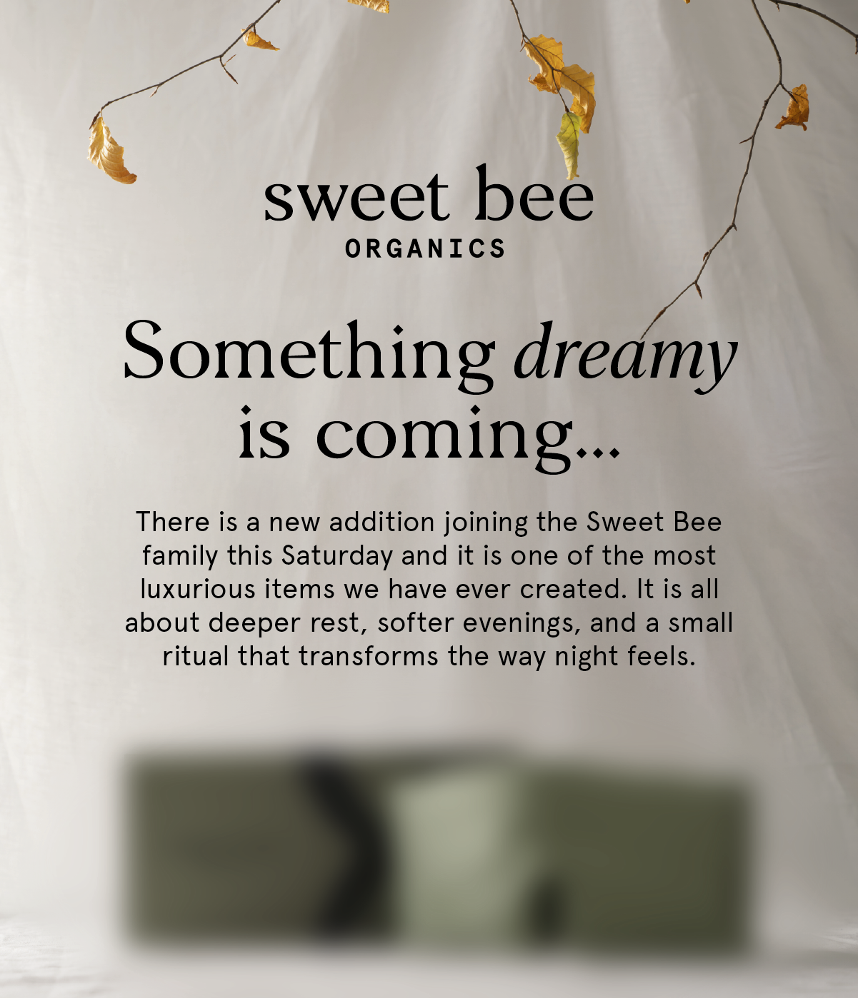 Something dreamy is coming