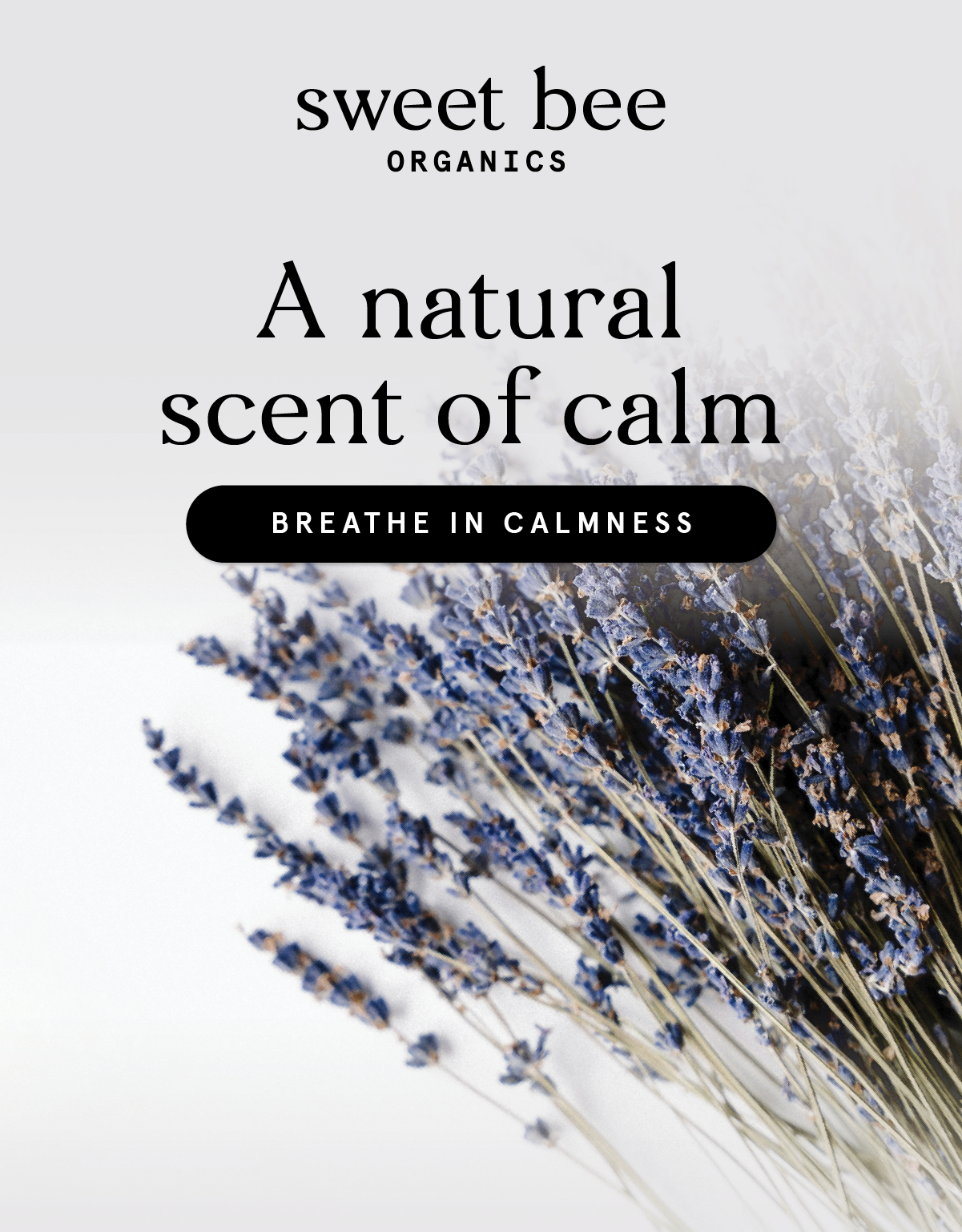 A natural scent of calm