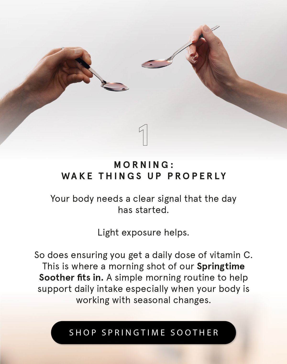 Seasonal Twists & Turns