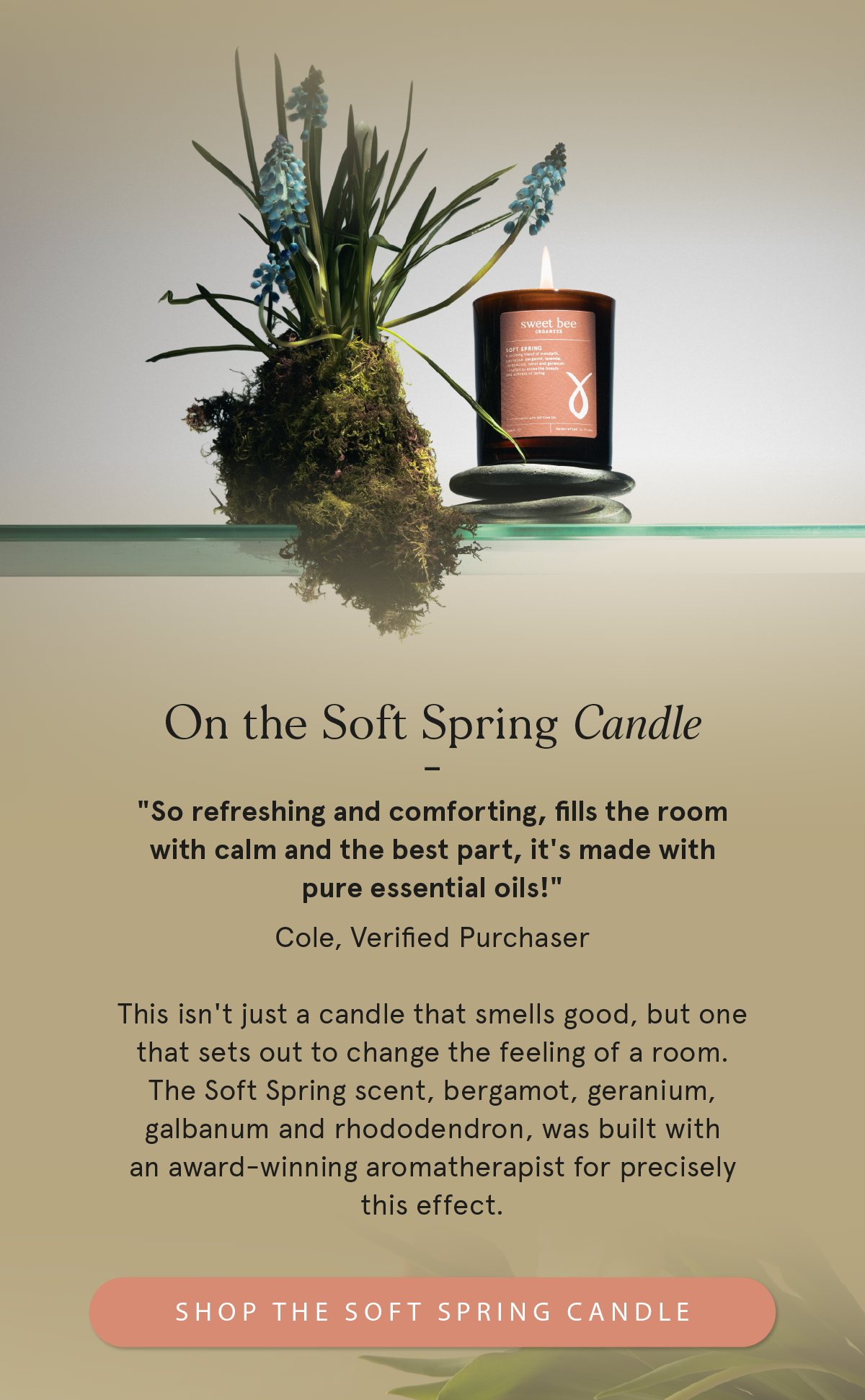 Three reviews. Three products. One season.