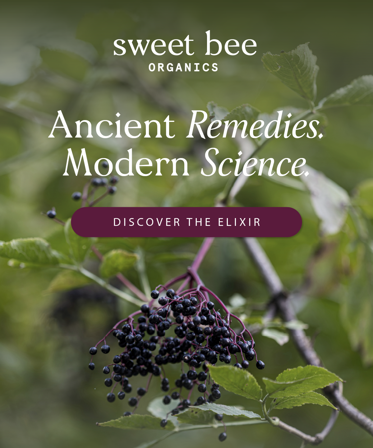 Ancient Remedies. Modern Science. This is Elderberry Elixir