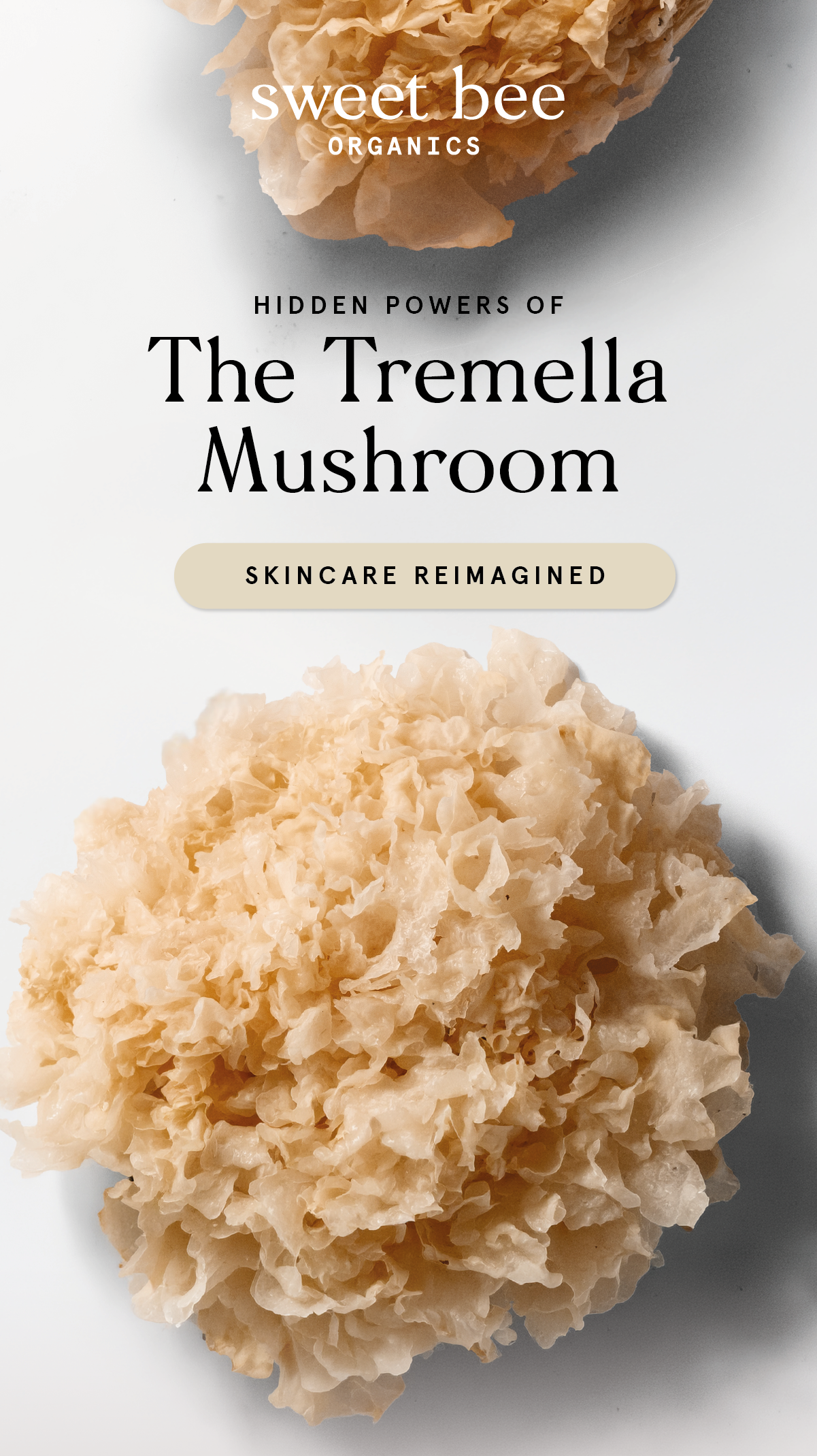 The Tremella Mushroom