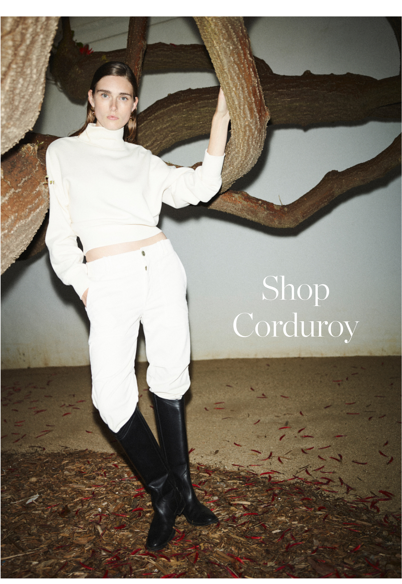 Corduroy