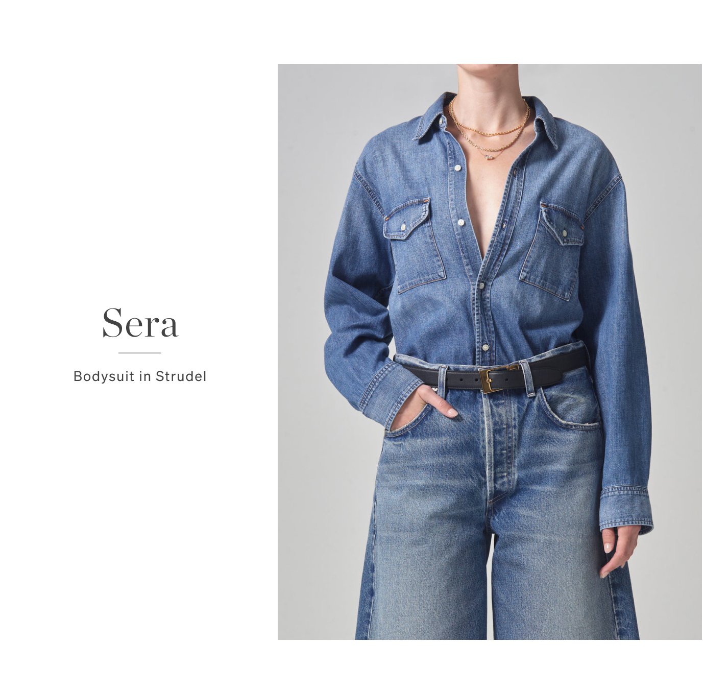 Sera