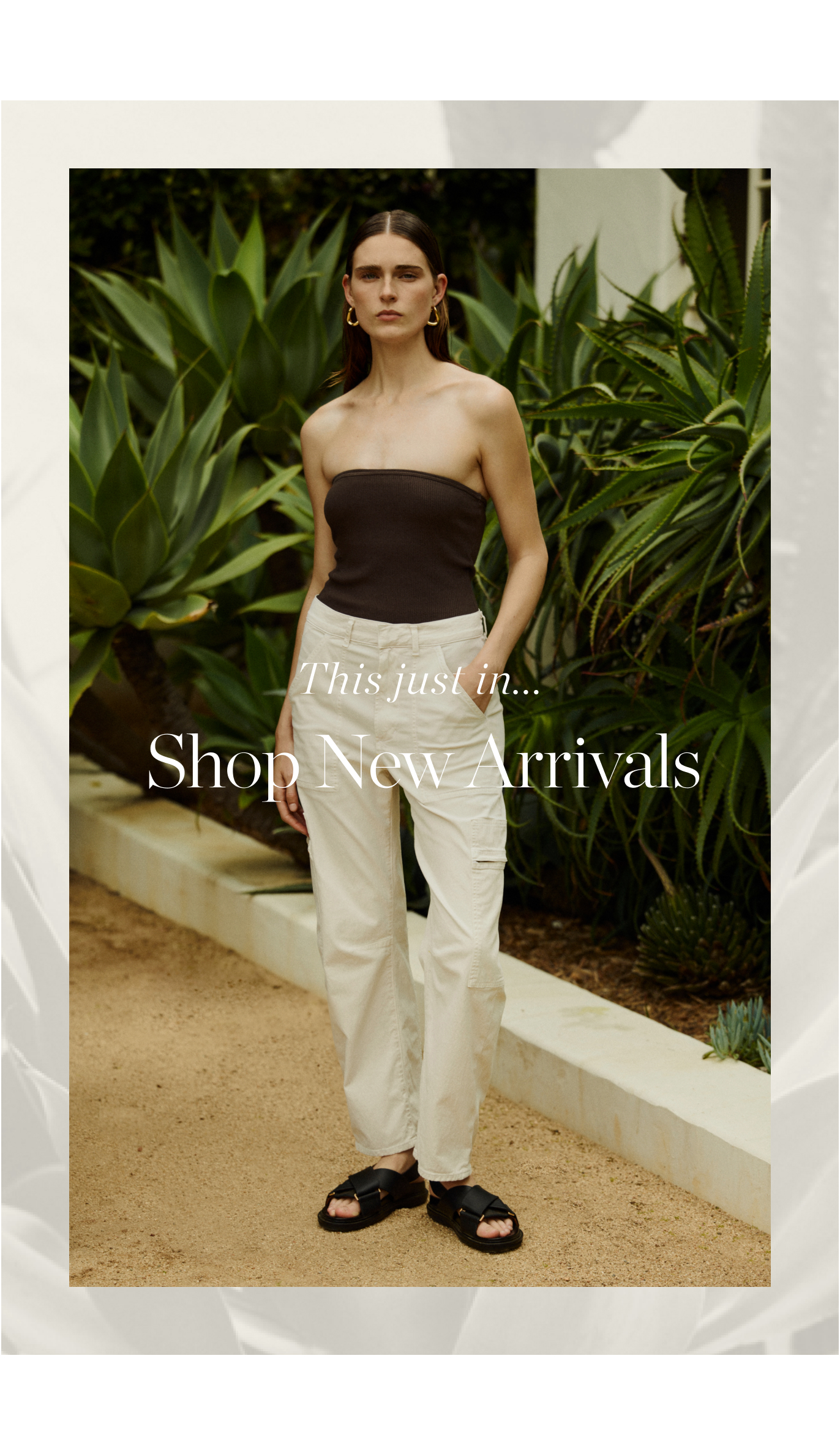 New Arrivals