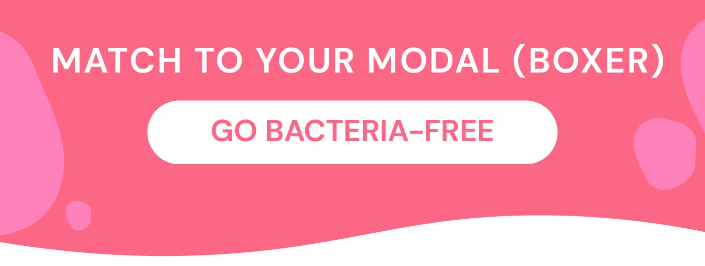 Match to your Modal (Boxer)