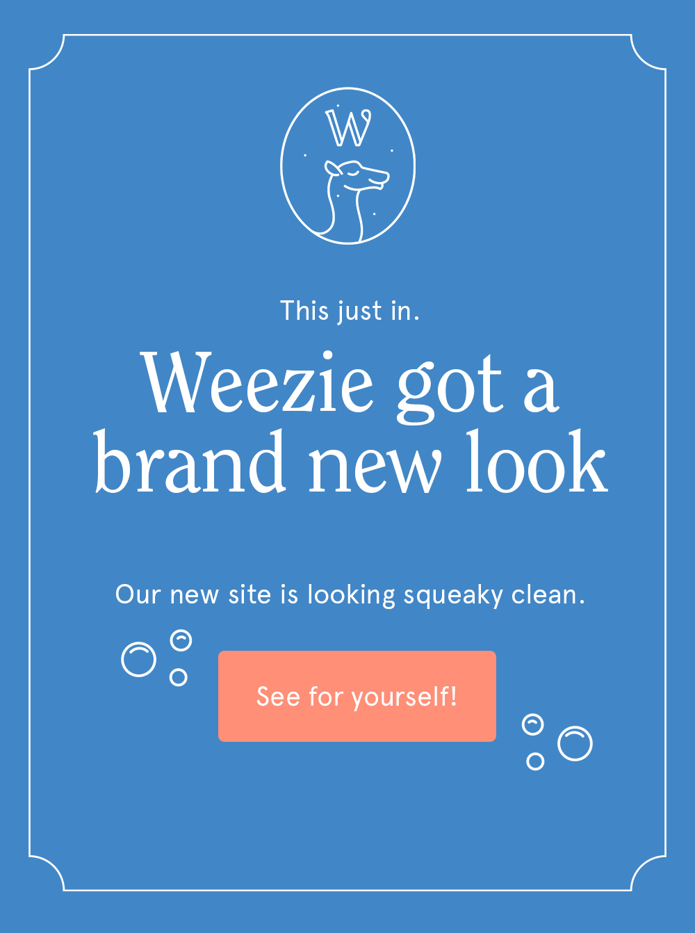 Check out our new site! >
