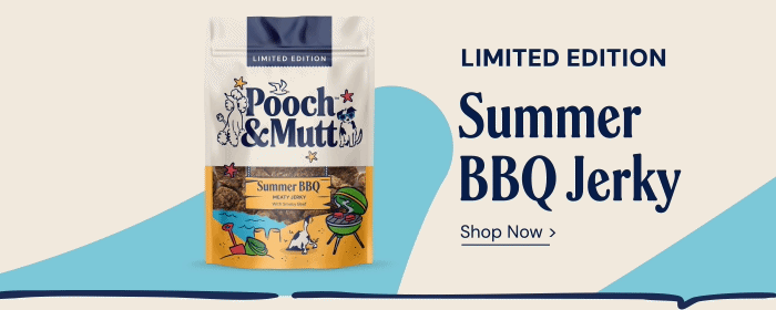 Limited edition: Summer BBQ Jerky