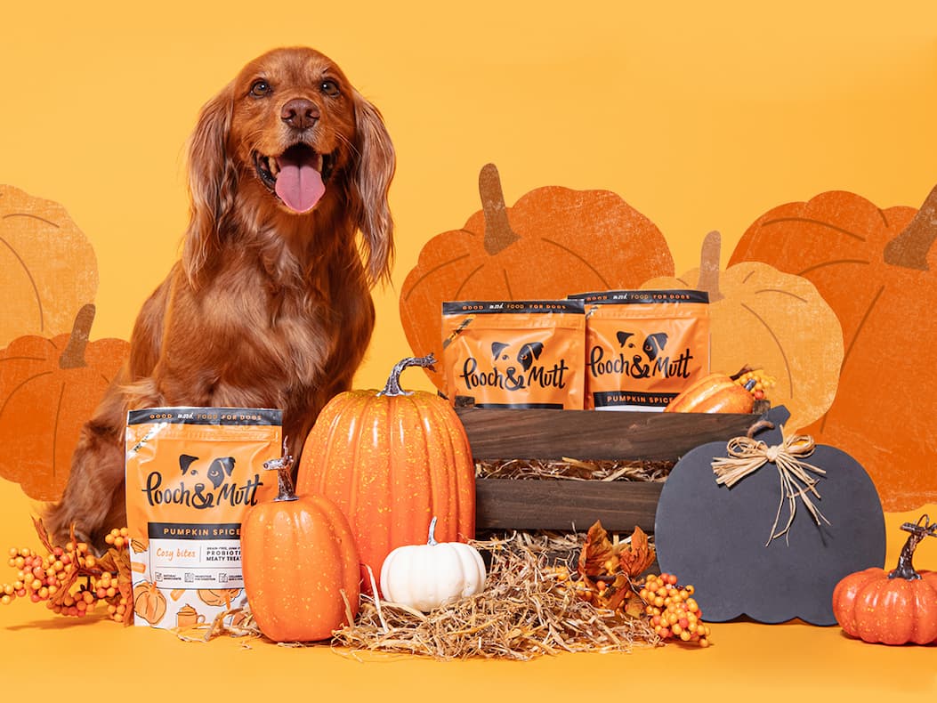 Triple PoochReward Points