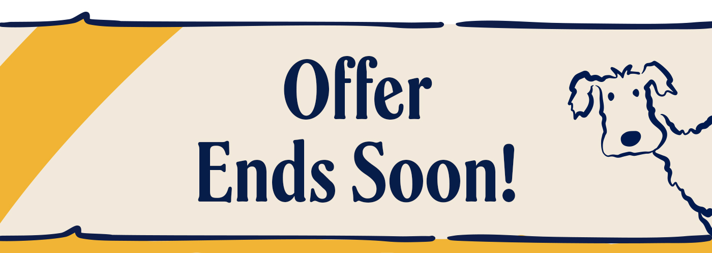 Offer ends soon!