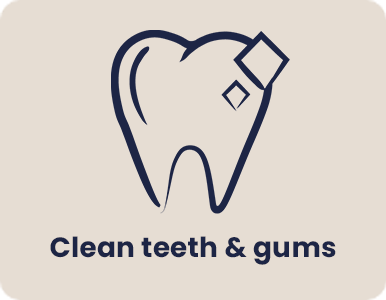 Cleans teeth & gums