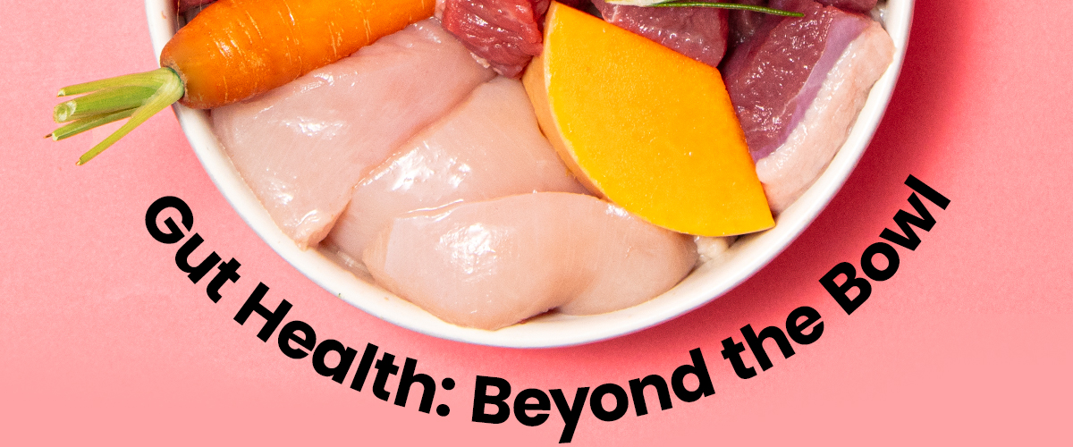 GUT HEALTH: BEYOND THE BOWL