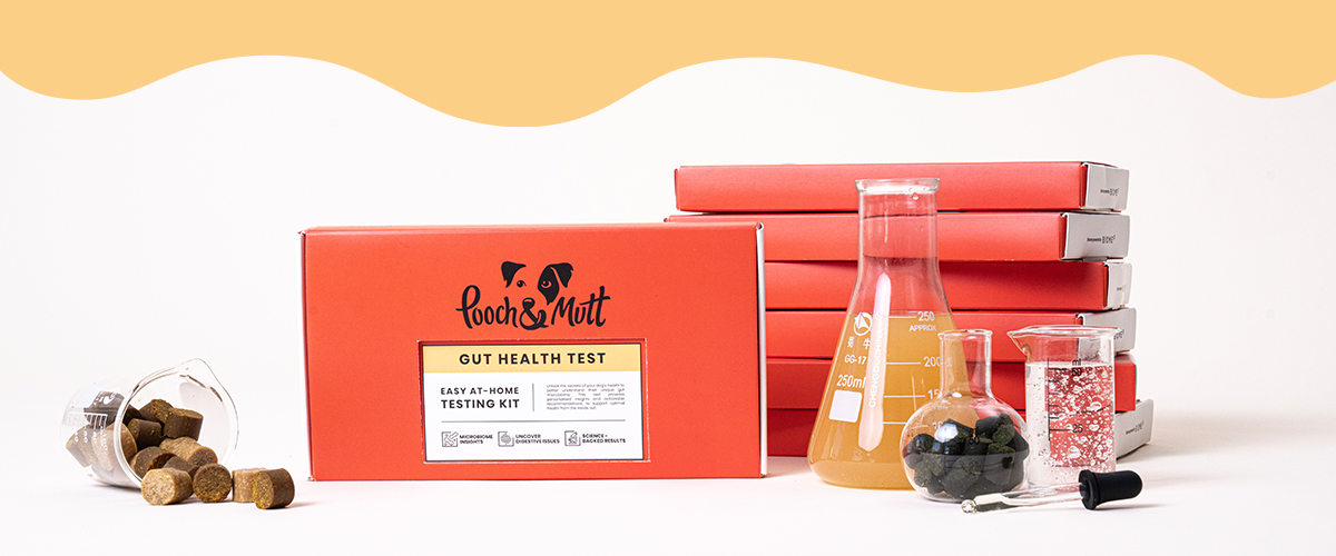 Gut health test