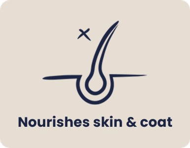 Healthy skin & coat