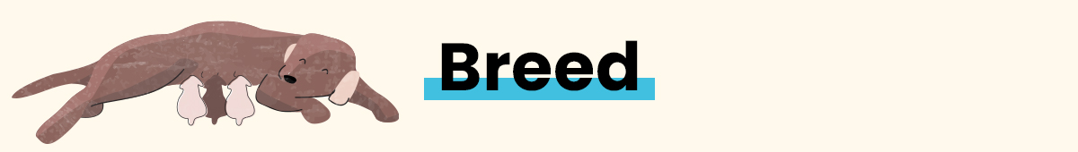 BREED